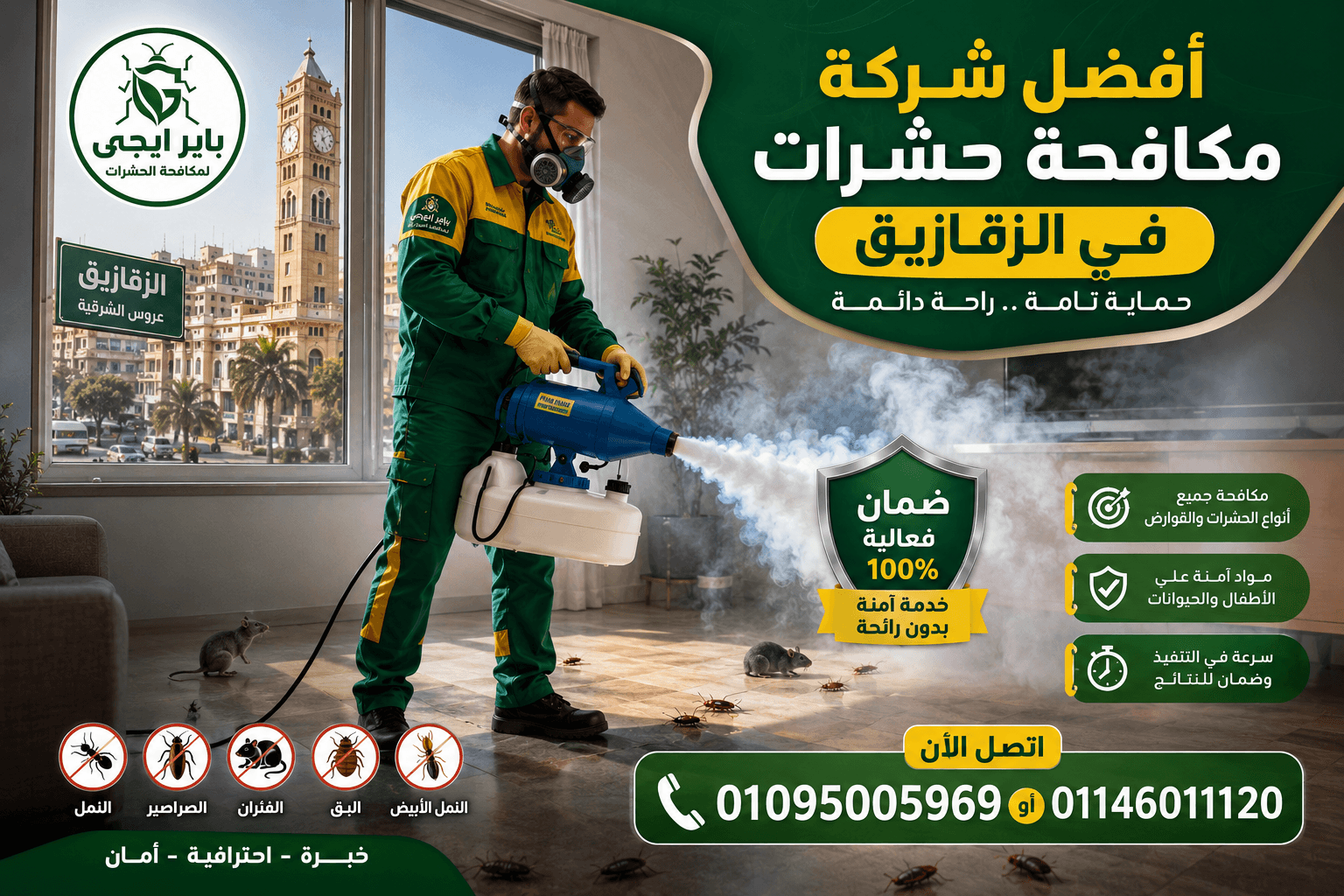 أفضل شركة مكافحة حشرات في الزقازيق