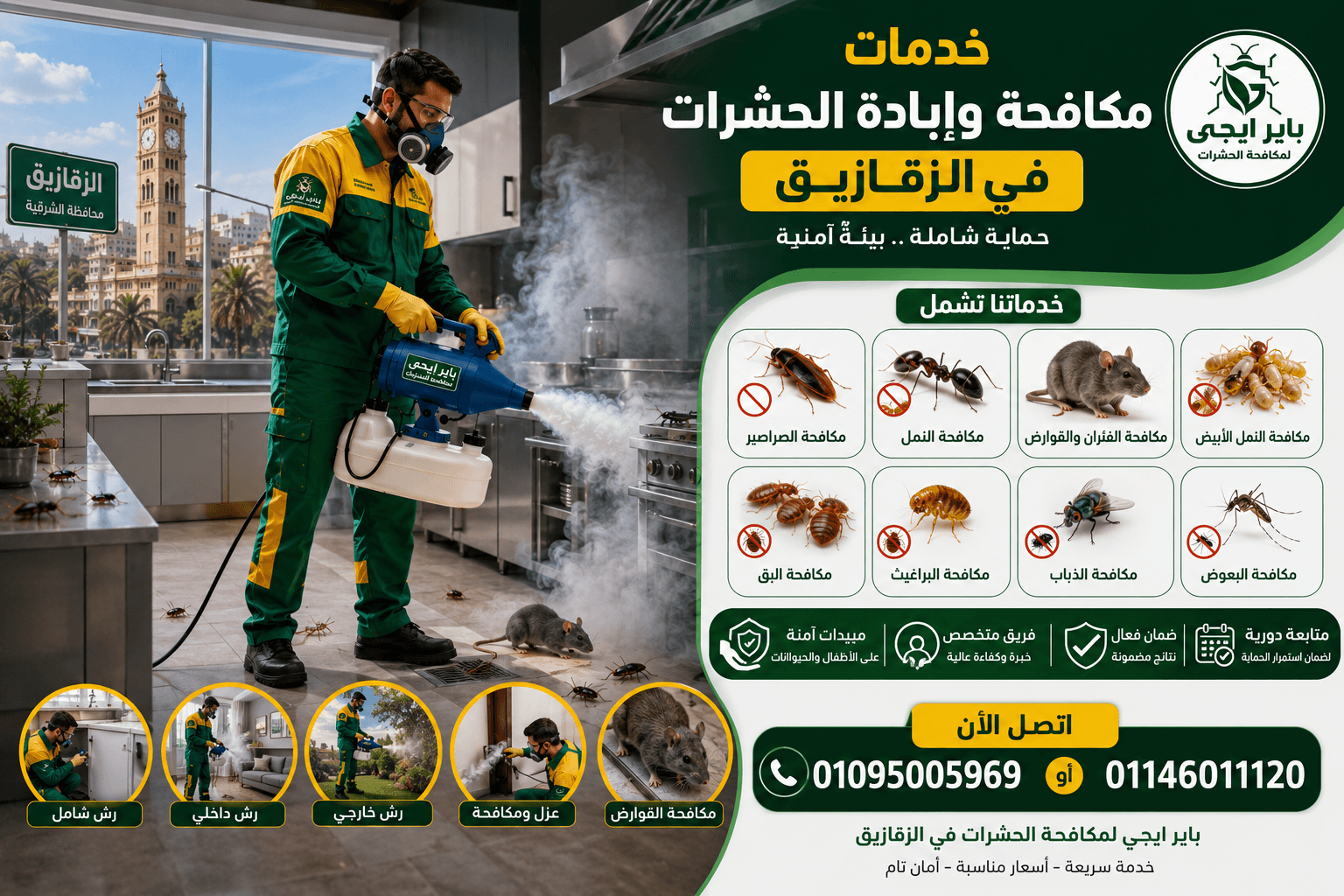 خدمات إبادة الحشرات بالزقازيق