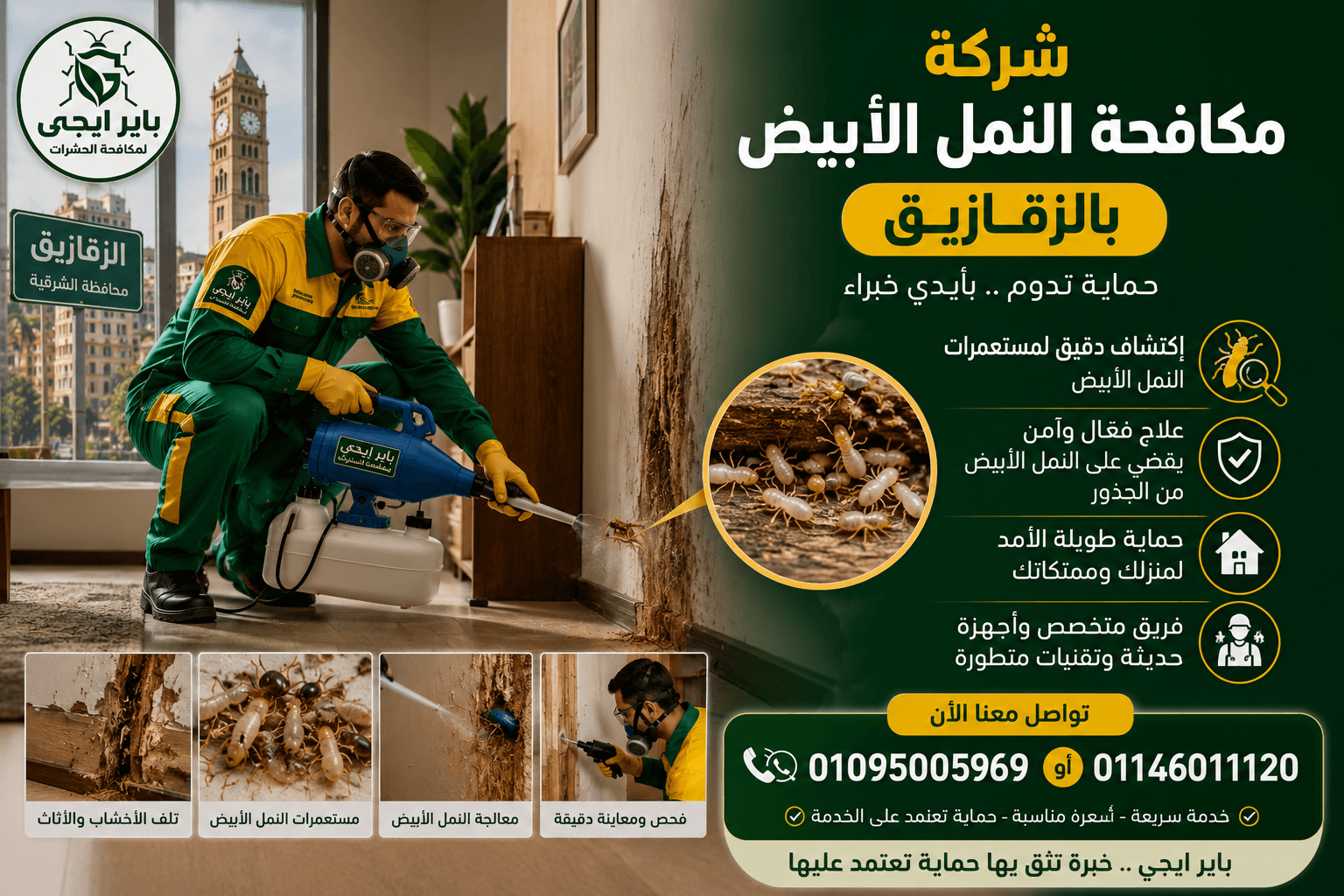 شركة مكافحة النمل الأبيض بالزقازيق