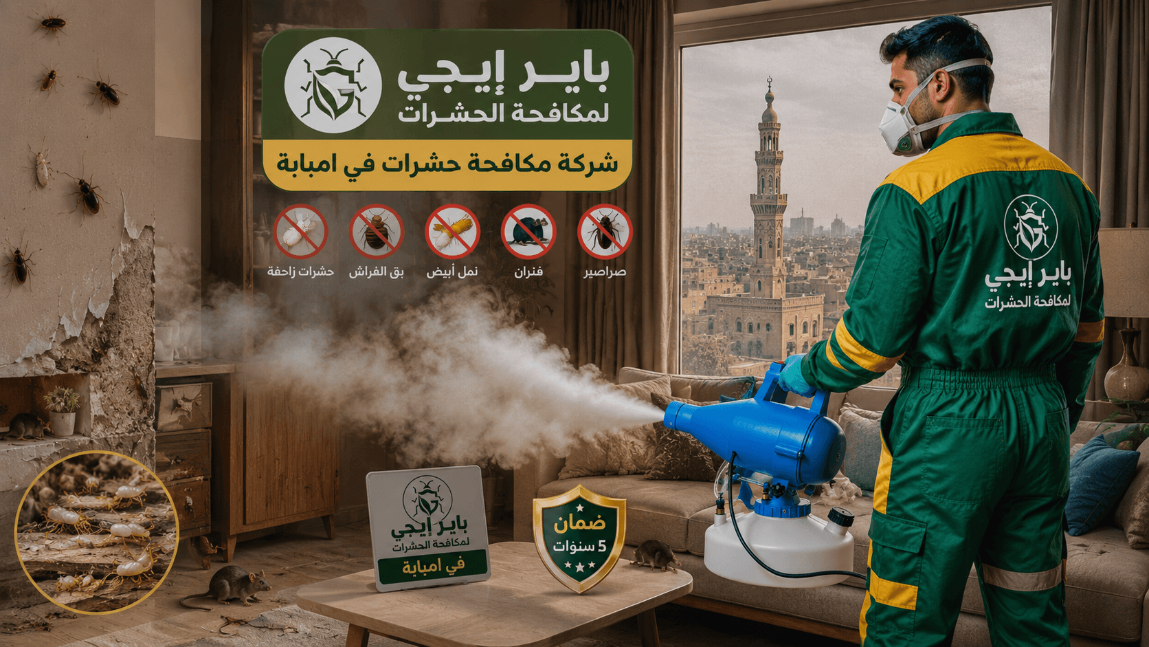 شركة مكافحة حشرات في امبابة - باير إيجى لإبادة ورش الحشرات