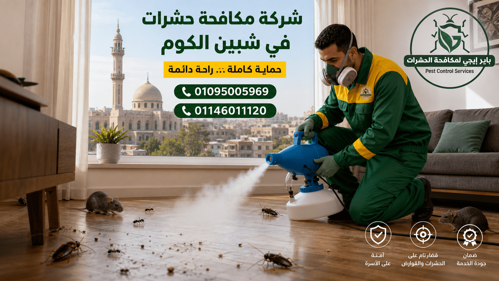 شركة مكافحة حشرات في شبين الكوم