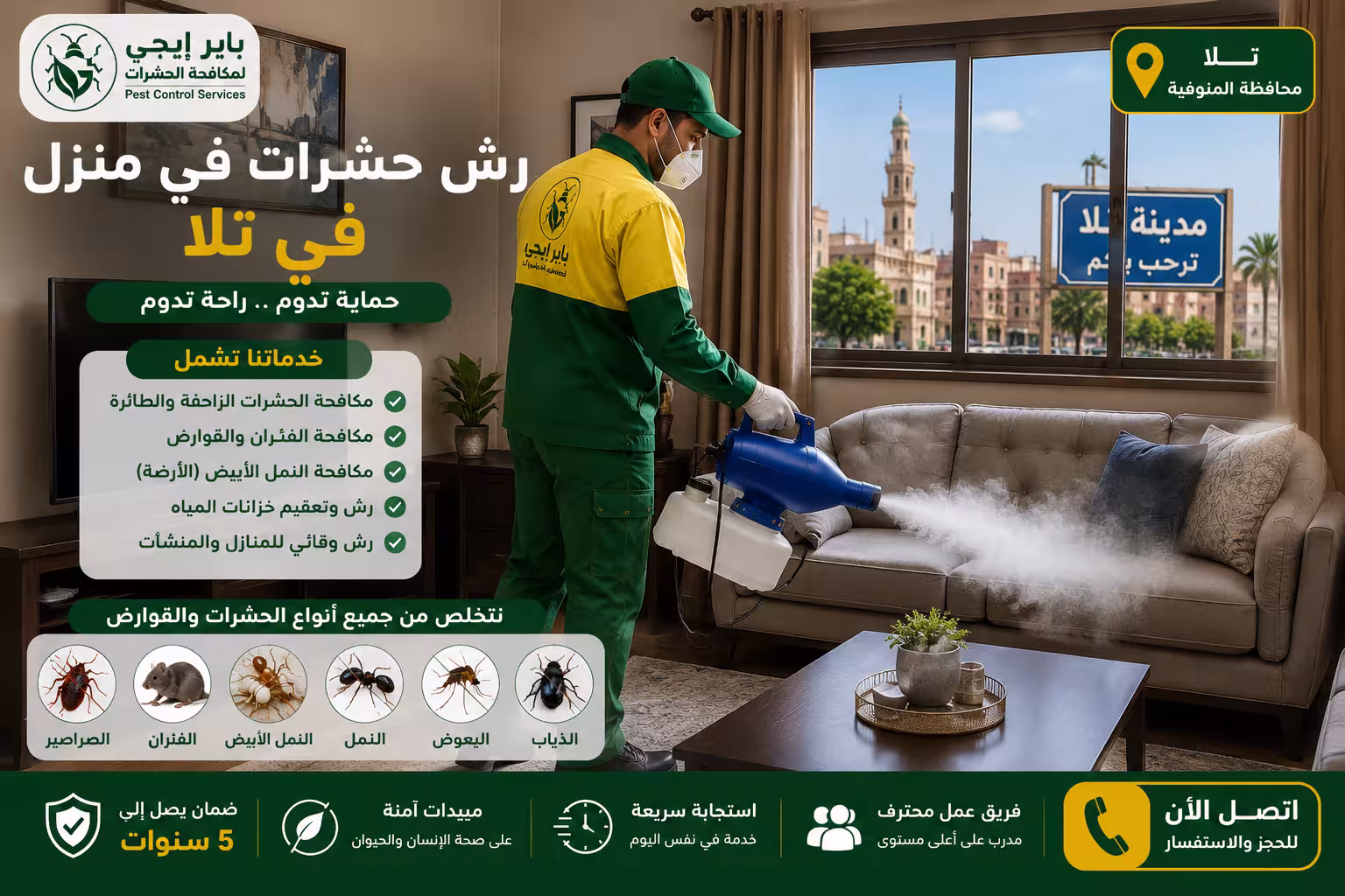رش حشرات في تلا