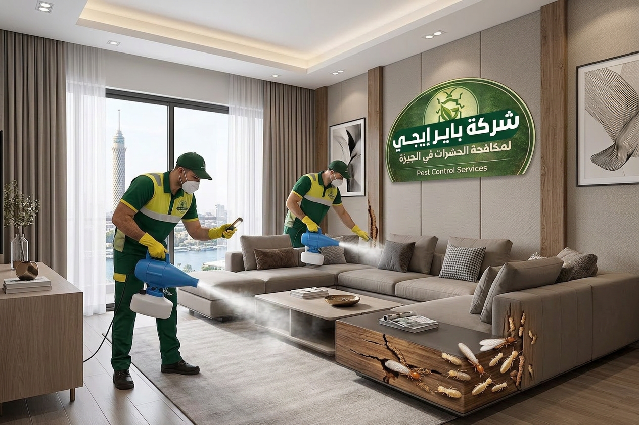 مكافحة النمل الأبيض في مصر