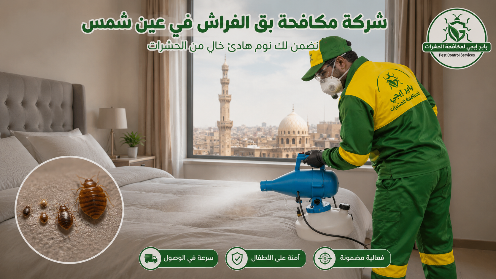 إبادة بق الفراش في عين شمس