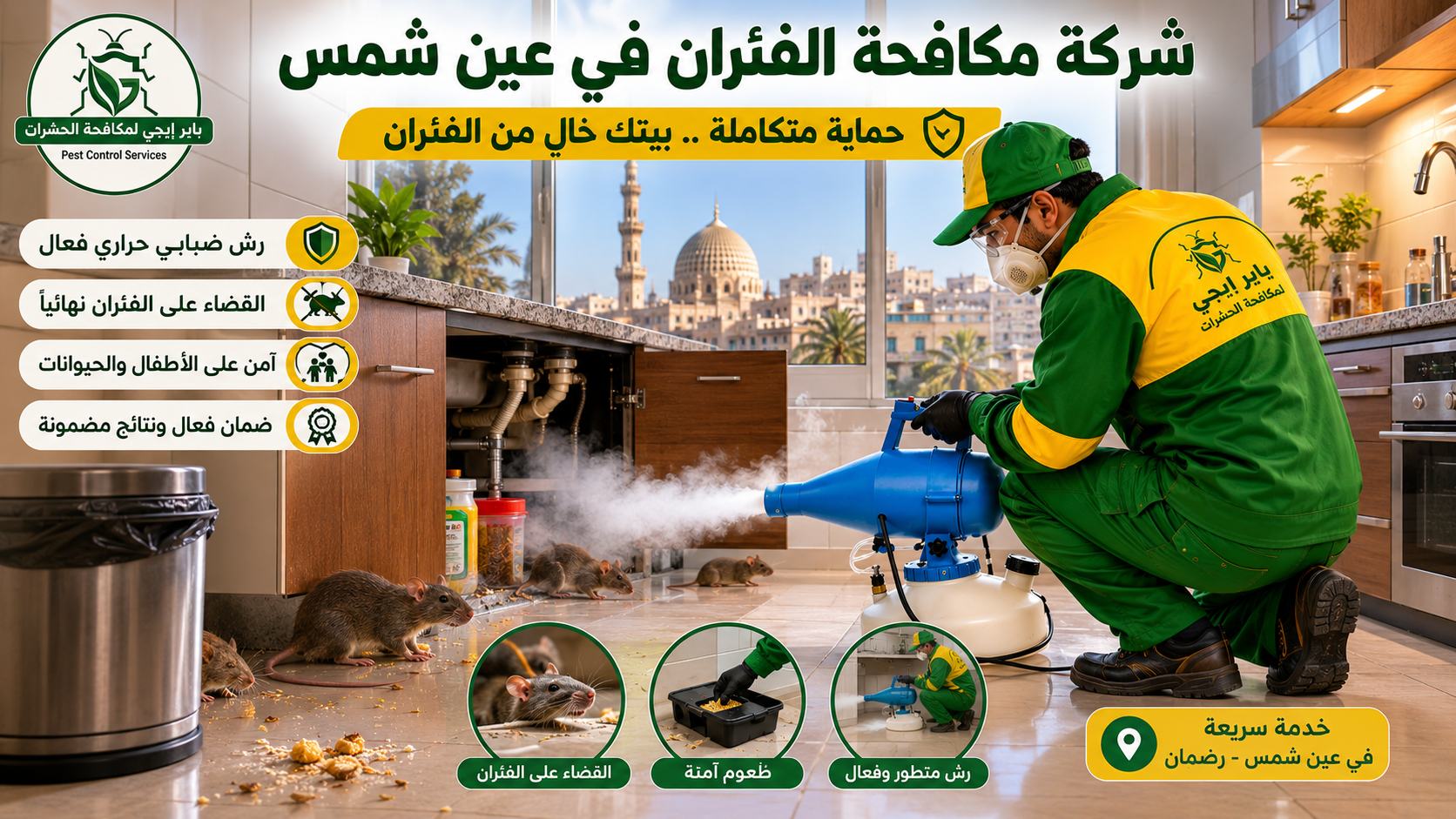 رش مبيدات في عين شمس