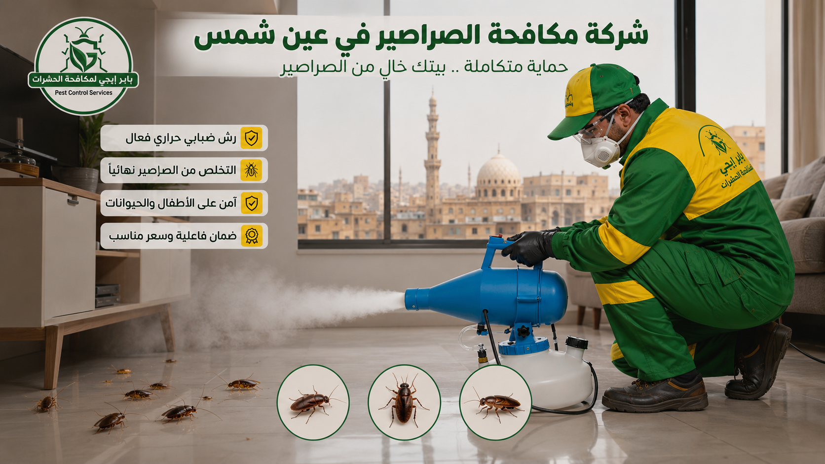 مكافحة الصراصير في عين شمس