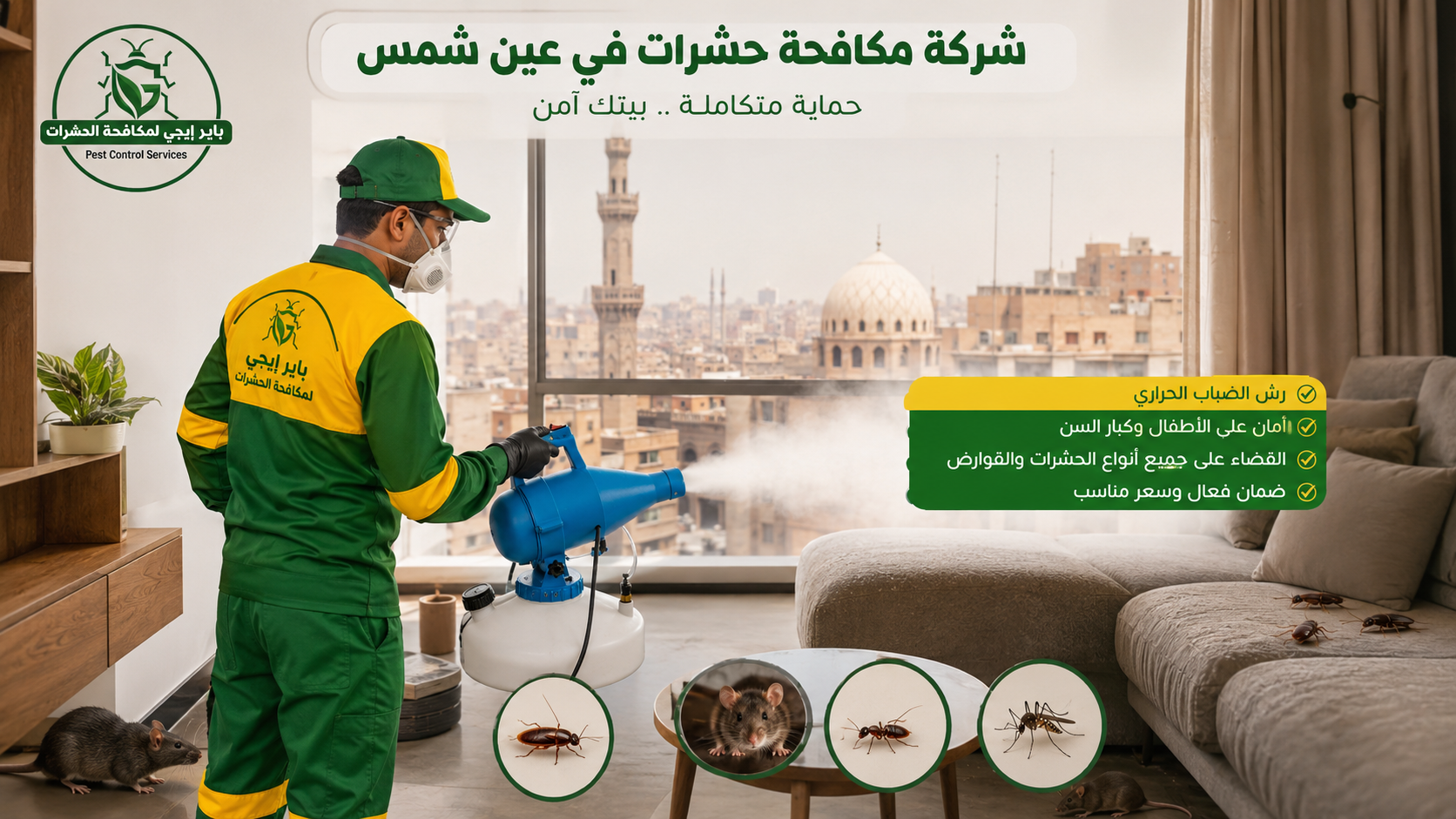 مكافحة النمل في عين شمس