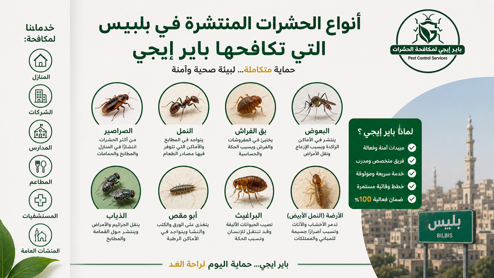 أنواع الحشرات المنتشرة في بلبيس التي تكافحها باير إيجى