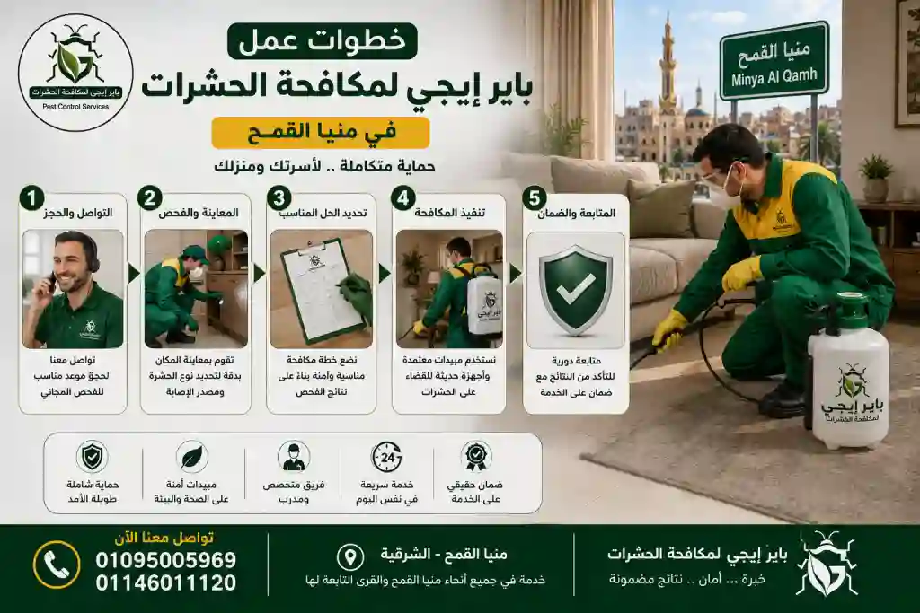 خطوات عمل شركة باير إيجى لمكافحة الحشرات فى منيا القمح