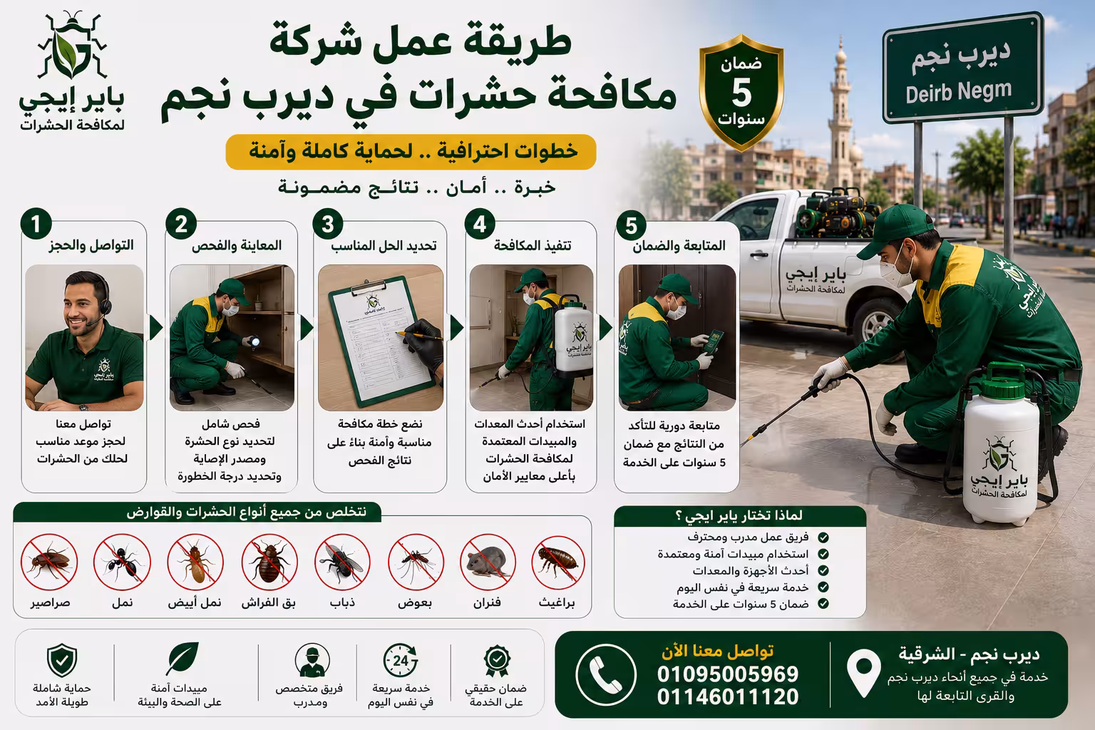 طريقة عمل شركة مكافحة حشرات في ديرب نجم