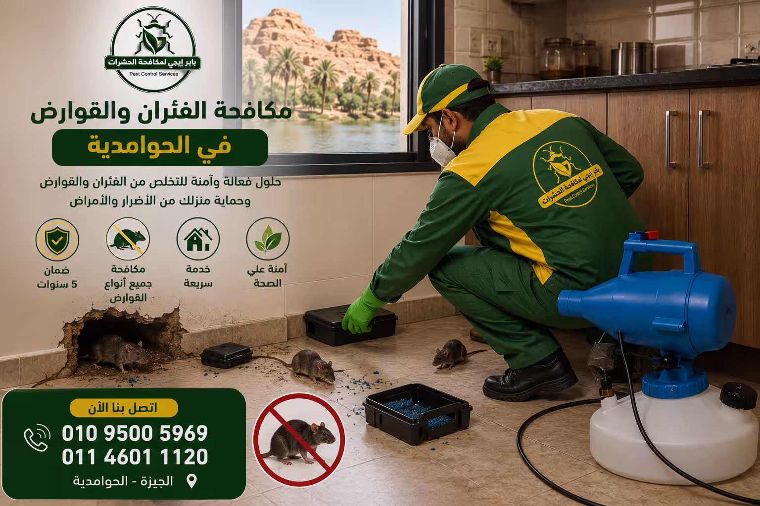 مكافحة الفئران والقوارض في الحوامدية