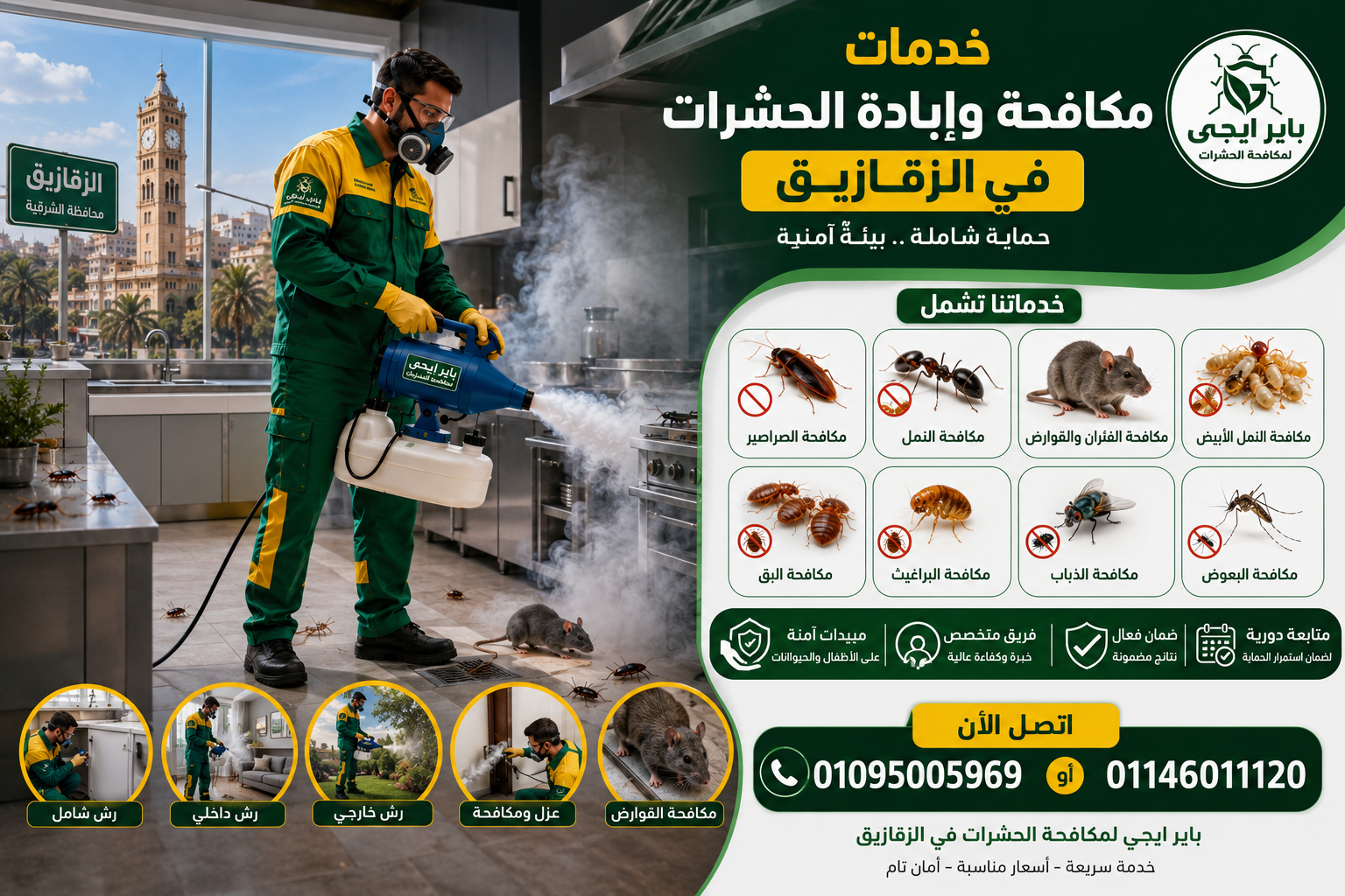 خدمات إبادة الحشرات بالزقازيق