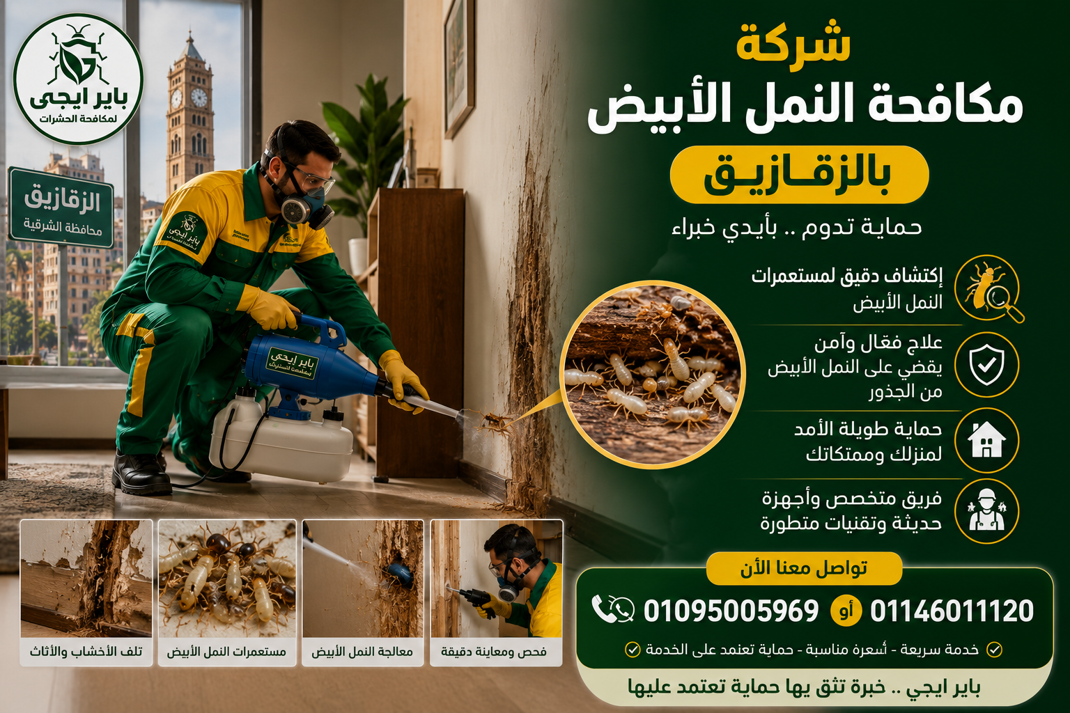 شركة مكافحة النمل الأبيض بالزقازيق