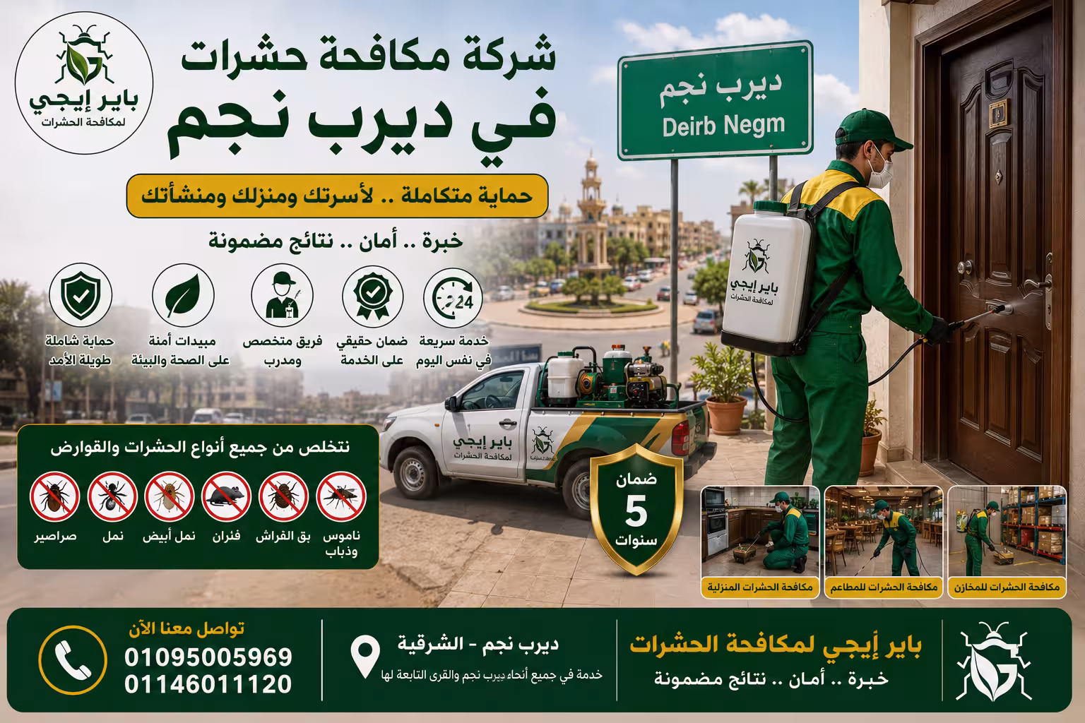 شركة مكافحة حشرات في ديرب نجم