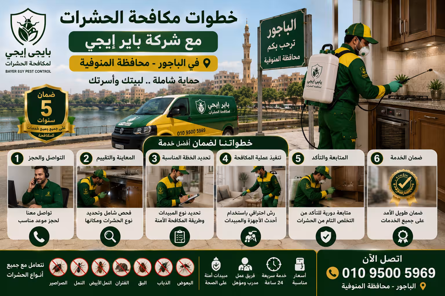خطوات مكافحة الحشرات