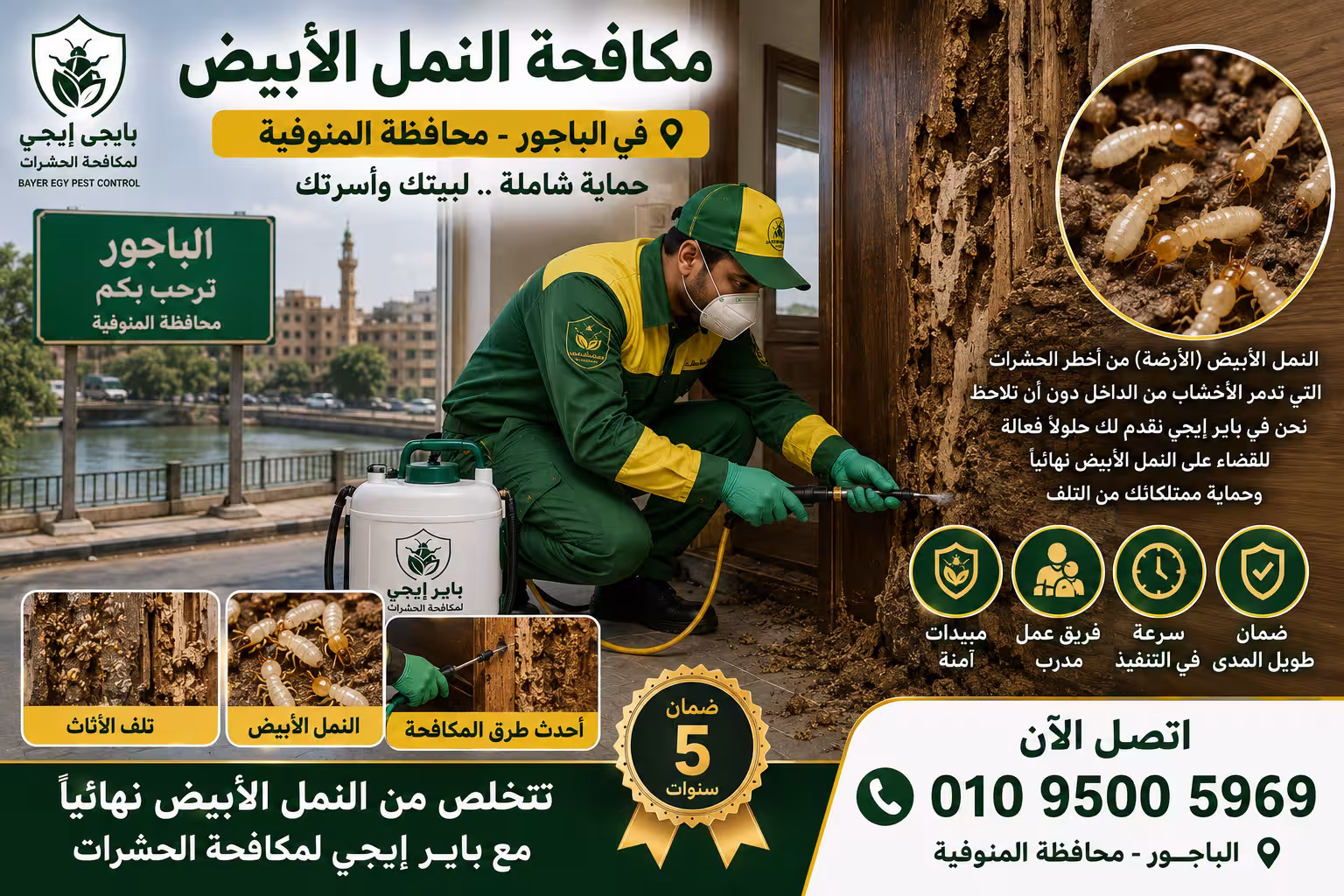مكافحة النمل الأبيض في الباجور 