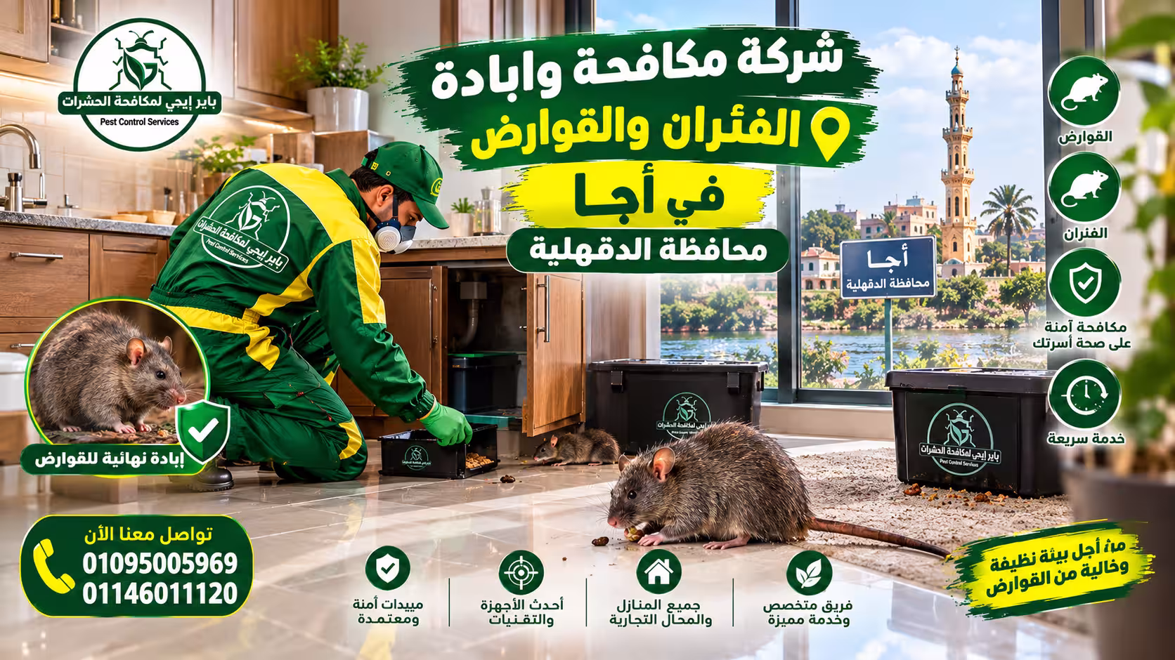 شركة مكافحة الفئران في أجا