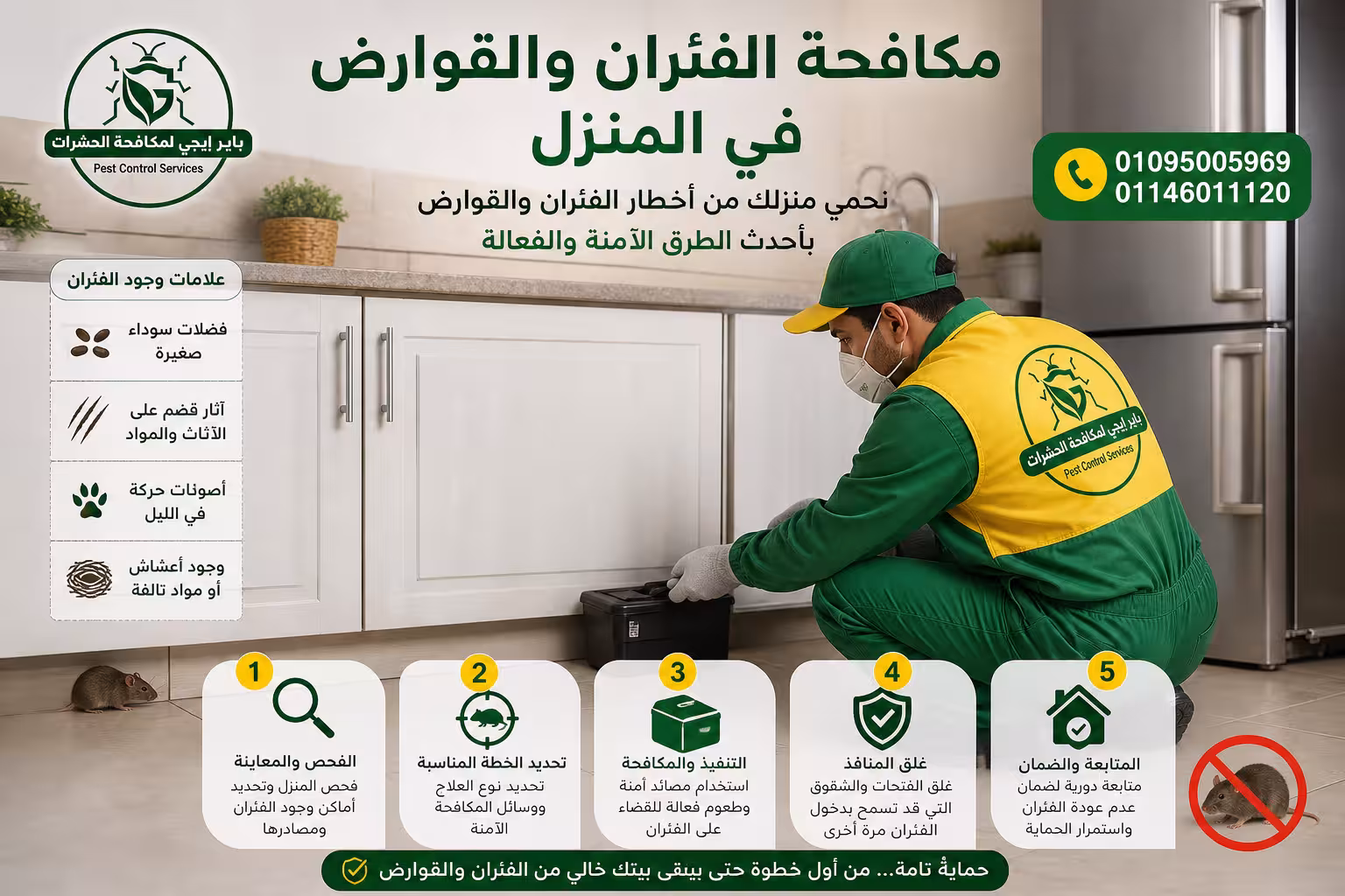 مكافحة الفئران والقوارض في المنزلة