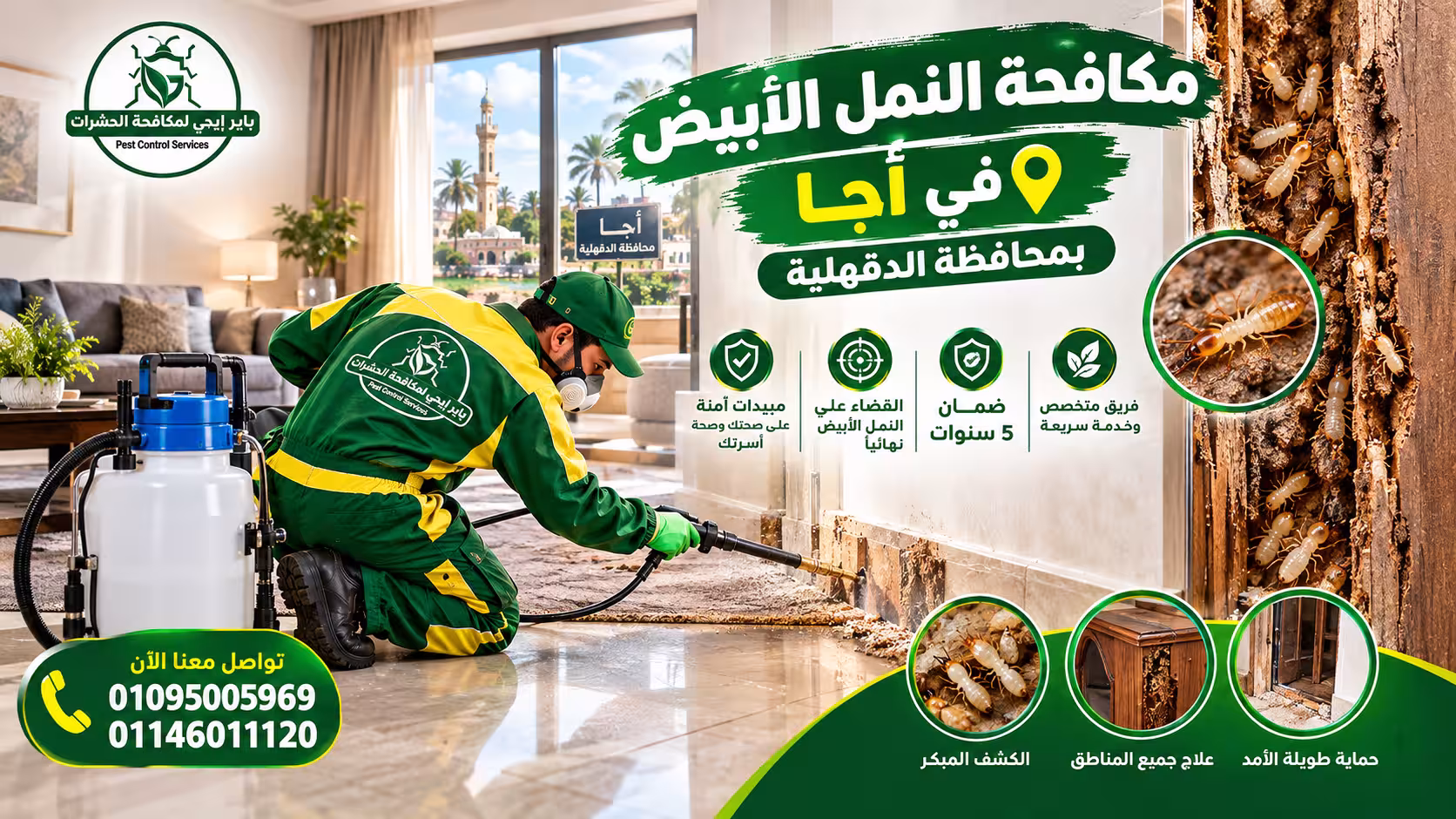 مكافحة النمل الأبيض في أجا