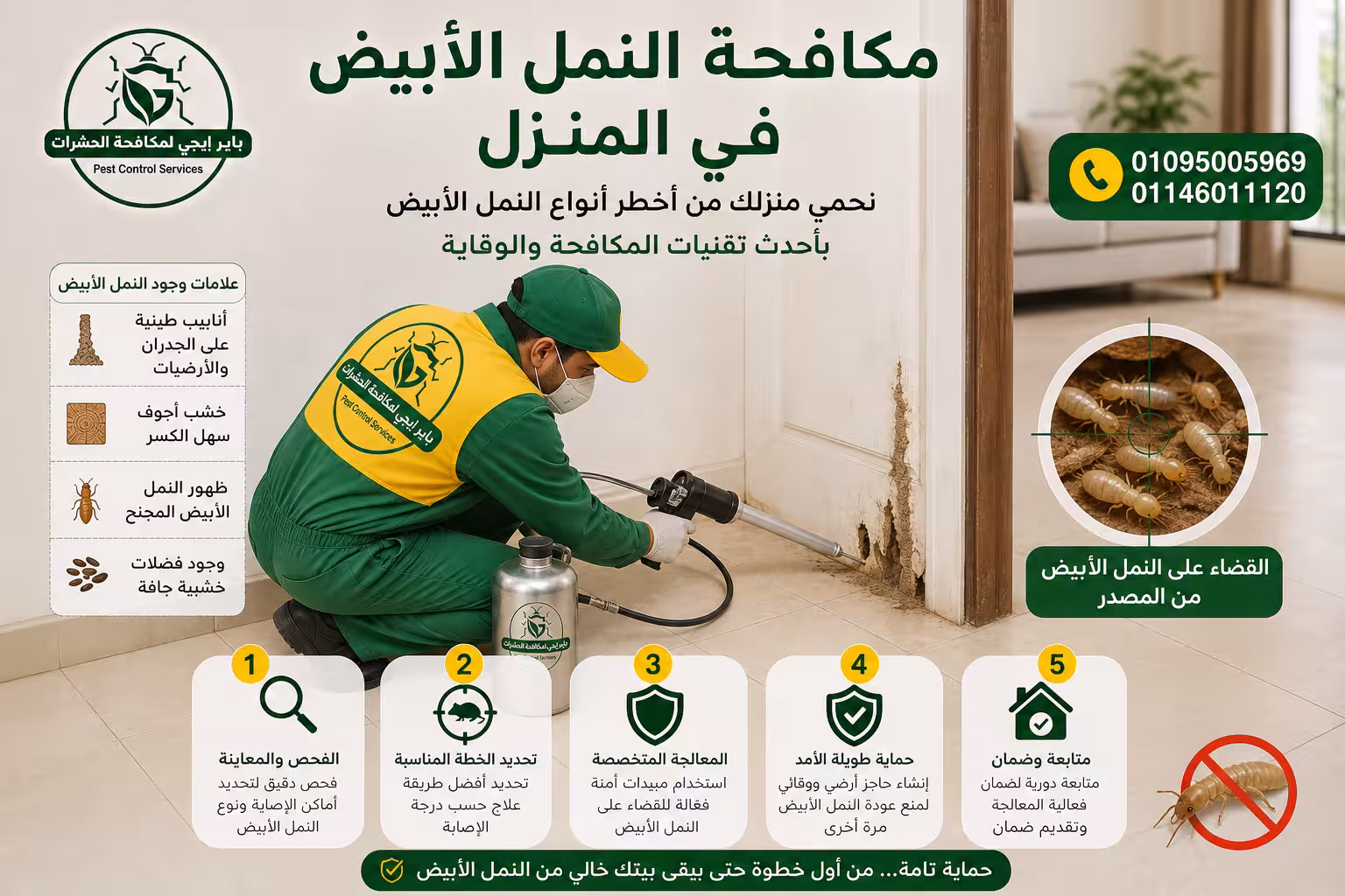 مكافحة النمل الأبيض في المنزلة